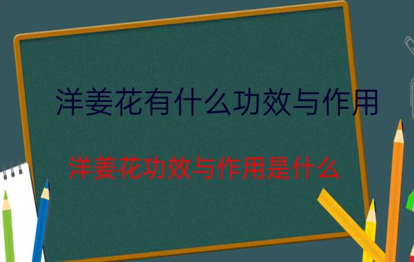 洋姜花有什么功效与作用 洋姜花功效与作用是什么